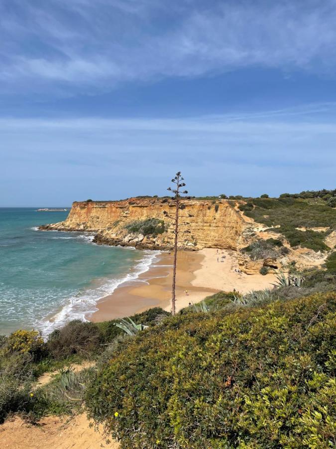Villa Mar Fuente del Sol Conil De La Frontera Esterno foto